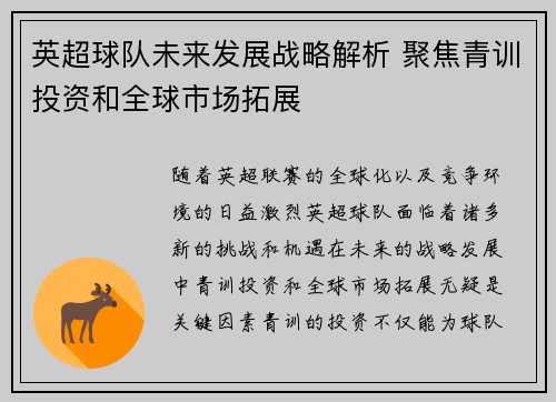 英超球队未来发展战略解析 聚焦青训投资和全球市场拓展